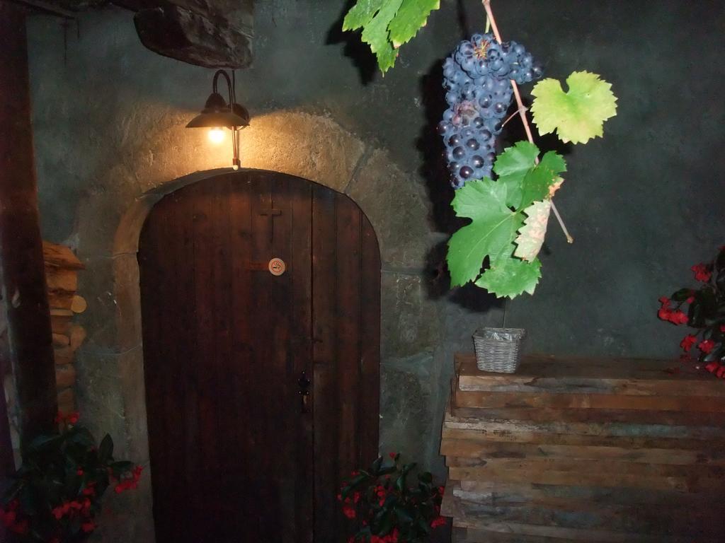 Le Domaine Du Grand Cellier Chambres D'Hotes En Savoie Tournon-sur-Rhône Exteriér fotografie
