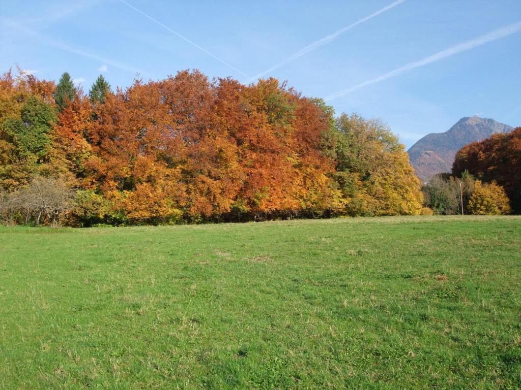 Le Domaine Du Grand Cellier Chambres D'Hotes En Savoie Tournon-sur-Rhône Exteriér fotografie